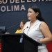 H. congreso del estado de colima, Dulce Huerta presenta reforma constitucional para fortalecer la protección y el bienestar animal en Colima