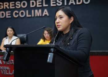 H. congreso del estado de colima, Isamar Ramírez impulsa la prohibición del maltrato animal y la tenencia responsable en Colima