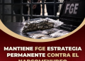 Mantiene FGE estrategia permanente
